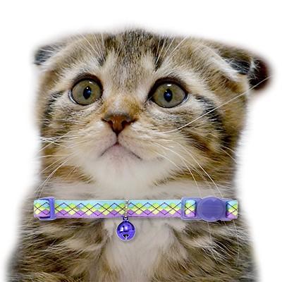 アウトレット 返品交換不可 猫 首輪 ラロック RALLOC アミコ アーガイル猫カラー 猫用首輪 メール便のみ送料無料 |  | 06