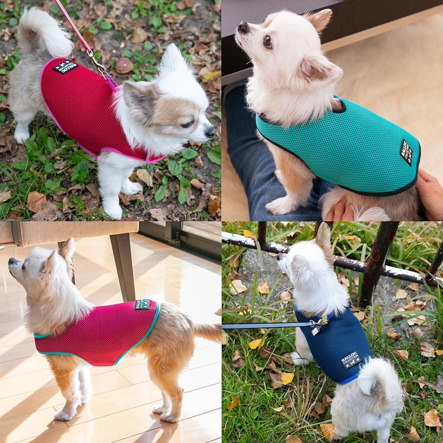 アウトレット 返品交換不可 犬 ジャケット ラロック シンプルジャケット メッシュ SS・Sサイズ 小型犬用 ドッグウェア メール便のみ送料無料 |  | 09