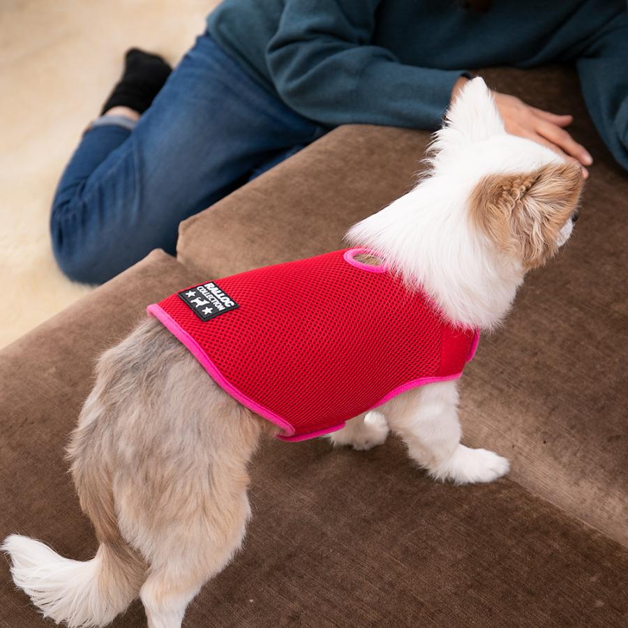 アウトレット 返品交換不可 犬 ジャケット ラロック シンプルジャケット メッシュ SS・Sサイズ 小型犬用 ドッグウェア メール便のみ送料無料 |  | 21