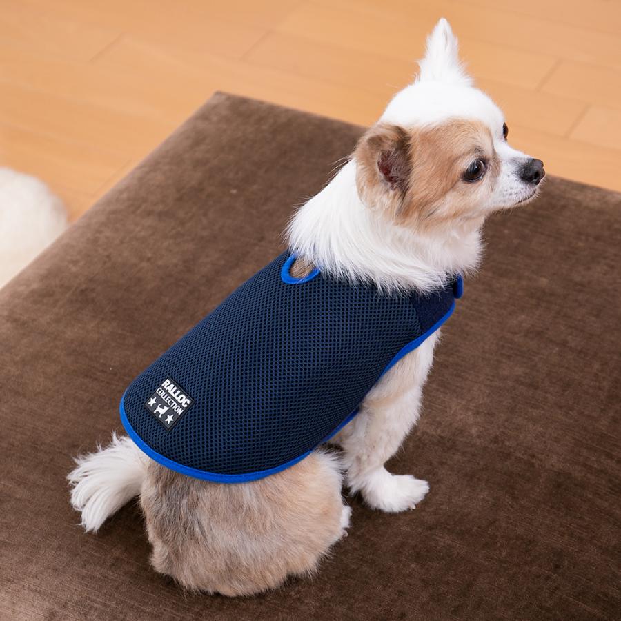 アウトレット 返品交換不可 犬 ジャケット ラロック シンプルジャケット メッシュ SS・Sサイズ 小型犬用 ドッグウェア メール便のみ送料無料 |  | 22