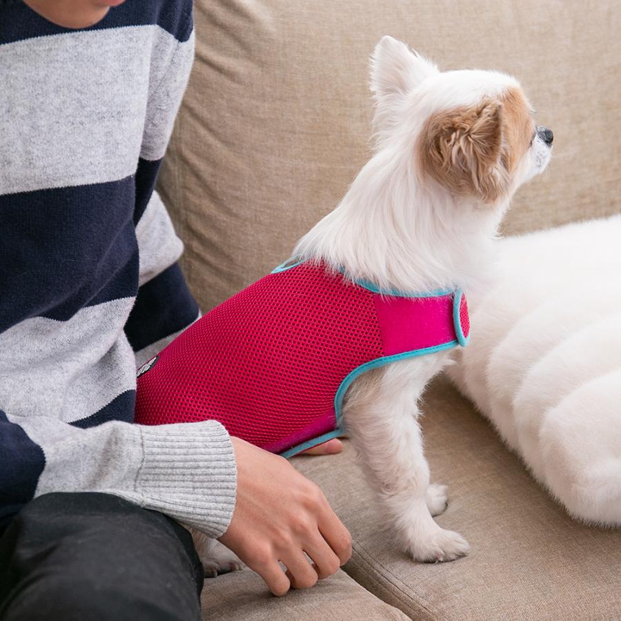 アウトレット 返品交換不可 犬 ジャケット ラロック シンプルジャケット メッシュ SS・Sサイズ 小型犬用 ドッグウェア メール便のみ送料無料 |  | 23