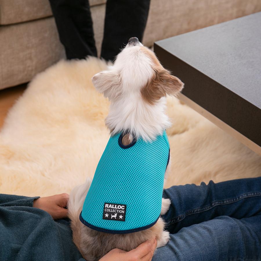 アウトレット 返品交換不可 犬 ジャケット ラロック シンプルジャケット メッシュ SS・Sサイズ 小型犬用 ドッグウェア メール便のみ送料無料 |  | 24