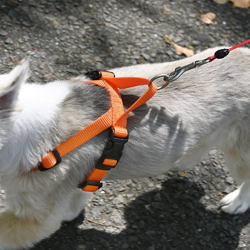 引っ張り防止 犬 ハーネス ラロック ハッピーウォークハーネス XS・Sサイズ 愛犬の引っ張りを止めるトレーニングハーネス メール便のみ送料無料 |  | 19
