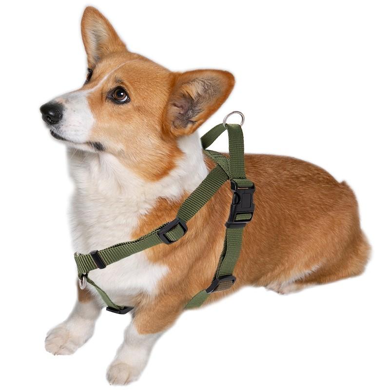 引っ張り防止 犬 ハーネス ラロック ハッピーウォークハーネス XS・Sサイズ 愛犬の引っ張りを止めるトレーニングハーネス メール便のみ送料無料 |  | 20