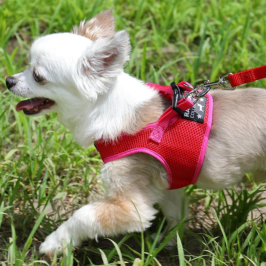 犬 ハーネス ラロック おしゃれ かわいい シンプルメッシュハーネス SS・S・Mサイズ 超小型犬用ハーネス メール便のみ送料無料 リードは別売 |  | 19