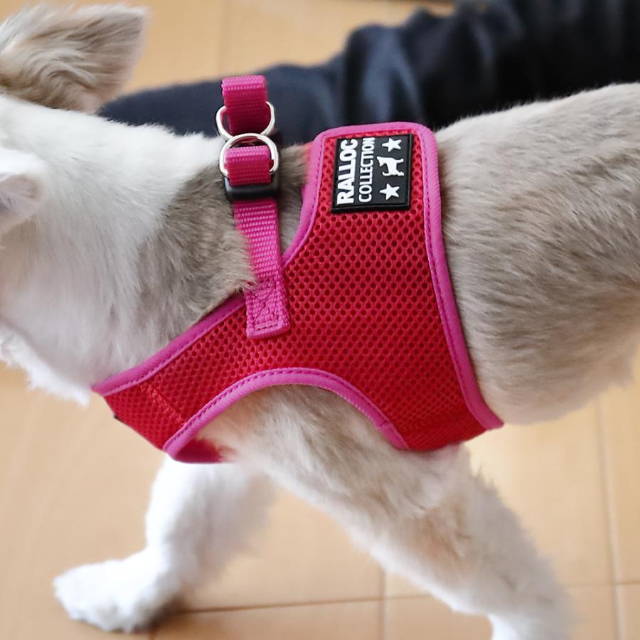 犬 ハーネス ラロック おしゃれ かわいい シンプルメッシュハーネス SS・S・Mサイズ 超小型犬用ハーネス メール便のみ送料無料 リードは別売 |  | 37