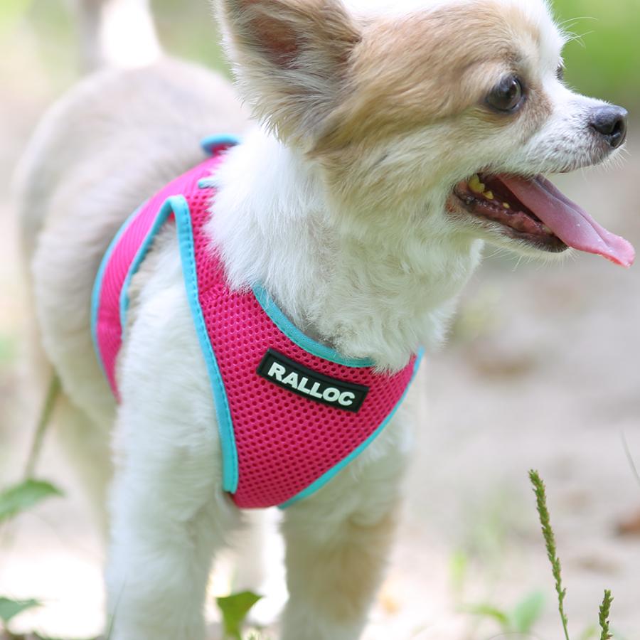 犬 ハーネス ラロック おしゃれ かわいい シンプルメッシュハーネス SS・S・Mサイズ 超小型犬用ハーネス メール便のみ送料無料 リードは別売 |  | 21