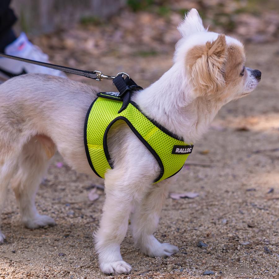 犬 ハーネス ラロック おしゃれ かわいい シンプルメッシュハーネス SS・S・Mサイズ 超小型犬用ハーネス メール便のみ送料無料 リードは別売 |  | 23