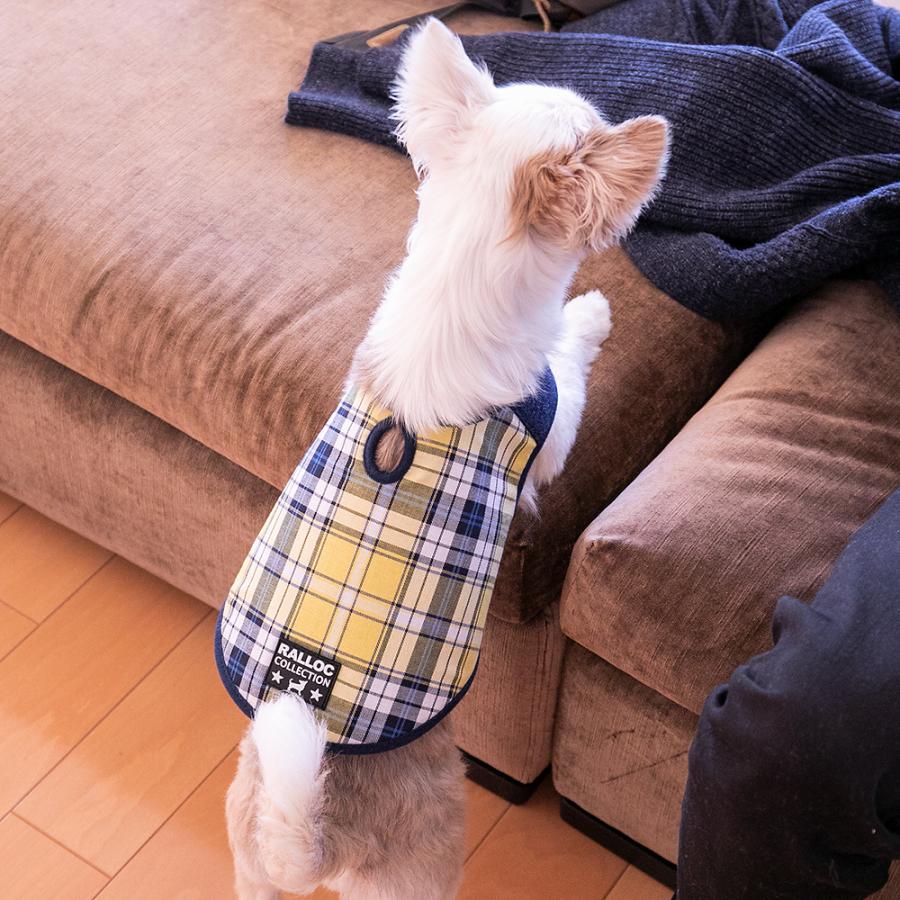アウトレット 返品交換不可 犬 ジャケット ラロック シンプルジャケット チェック SS・Sサイズ 小型犬用 ドッグウェア メール便のみ送料無料 |  | 22