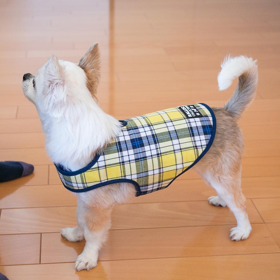 アウトレット 返品交換不可 犬 ジャケット ラロック シンプルジャケット チェック SS・Sサイズ 小型犬用 ドッグウェア メール便のみ送料無料 |  | 23