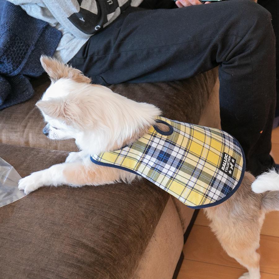 アウトレット 返品交換不可 犬 ジャケット ラロック シンプルジャケット チェック SS・Sサイズ 小型犬用 ドッグウェア メール便のみ送料無料 |  | 24
