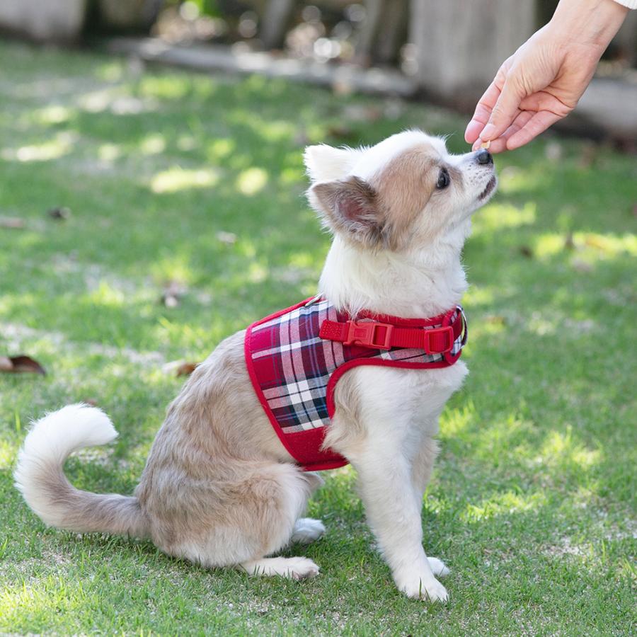 犬 ハーネス ラロック おしゃれ かわいい シンプルベストハーネス ファッション 超小型犬用・小型犬用胴輪 メール便のみ送料無料 リードは別売 |  | 15