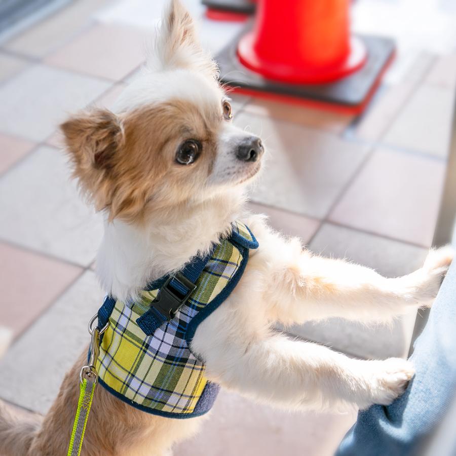 犬 ハーネス ラロック おしゃれ かわいい シンプルベストハーネス ファッション 超小型犬用・小型犬用胴輪 メール便のみ送料無料 リードは別売 |  | 16