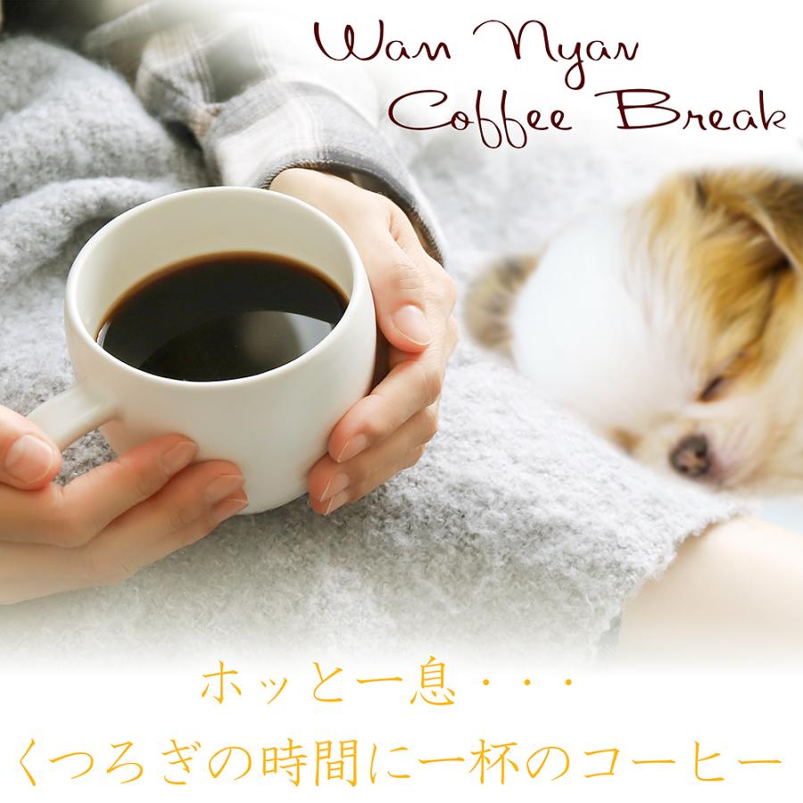 シーズンブレンド2026春／ドリップコーヒー8袋入り メール便のみ送料無料 |  | 03