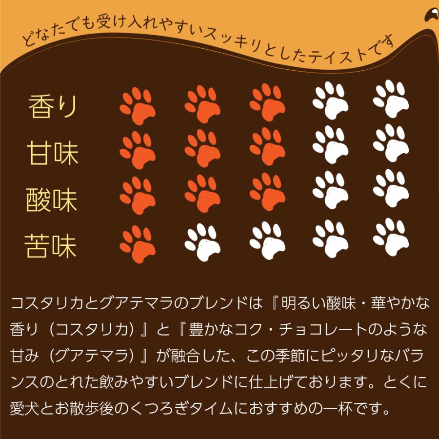 シーズンブレンド2026春／ドリップコーヒー8袋入り メール便のみ送料無料 |  | 08