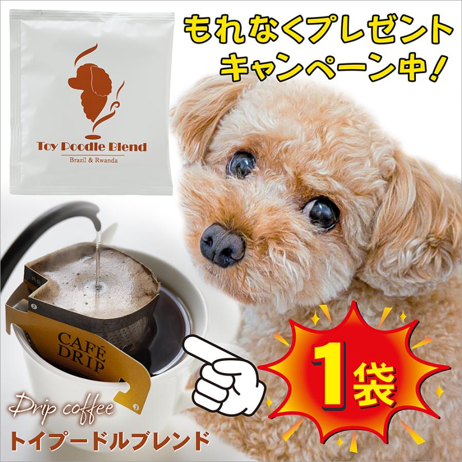 ラロック スペシャルティコーヒー豆160ｇ （80g x 2袋） コロンビア 送料無料 中煎り 焙煎 自家焙煎 極上珈琲 おすすめ お試し 【メール便のみ送料無料】 |  | 11