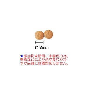 AZ(アゼット)プロフェッショナルドッグフード 成犬用 10kg 小粒
