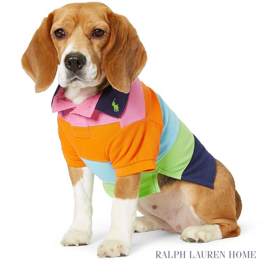 ▽最終価格▽ラルフローレン ドッグウェア : Striped Cotton Mesh Dog