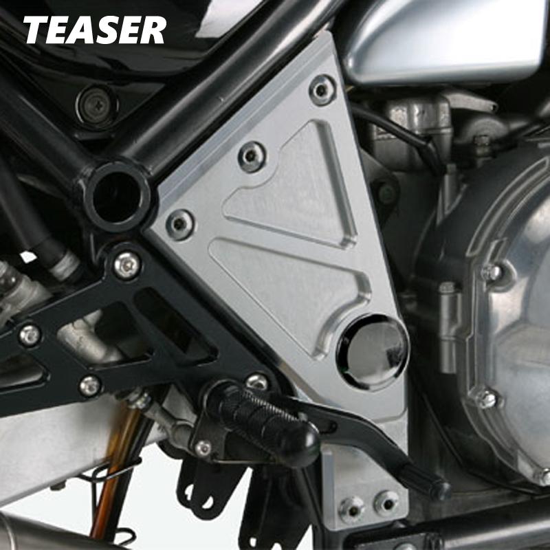 TEASER（ティ―ザ―）[L4C1S]ピボットプレート【SI／T1】ZEPHYR1100