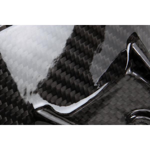 TEASER RFB01G REAR FENDER [DRY CARBON HG] BMW S1000RR ティーザー