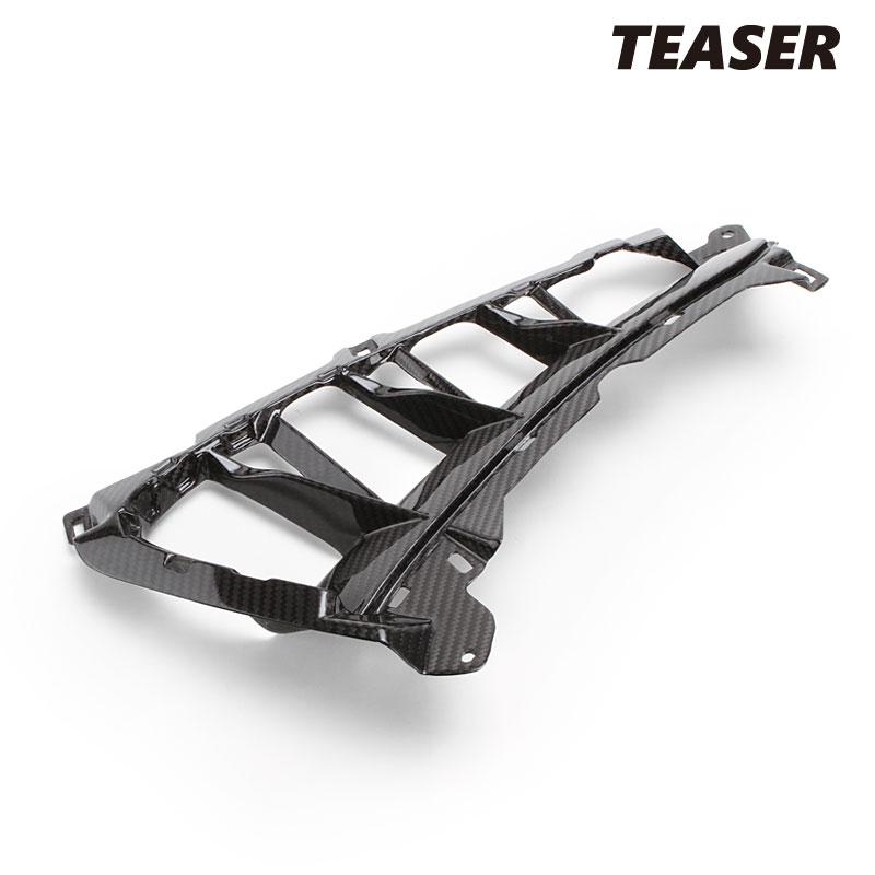 TEASER SPS04G SIDE PANELS with WINGLETS [DRY CARBON HG] SUZUKI