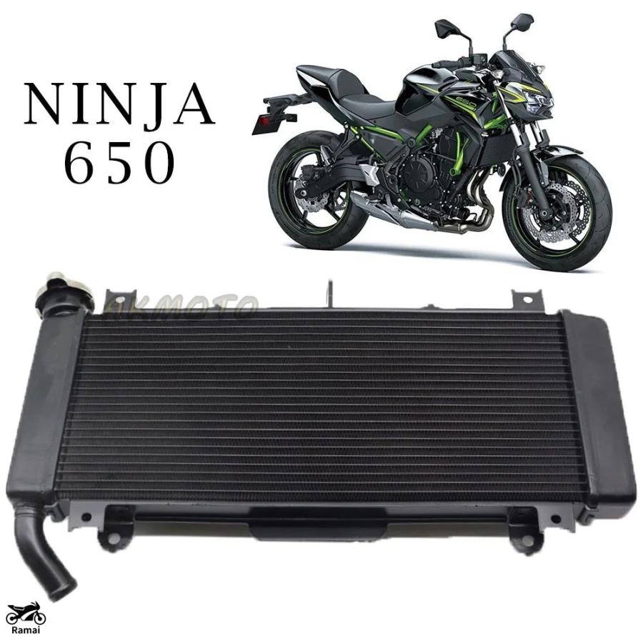 【専用品】 くにちゃん！！！！！！ KAWASAKI ZX6R 636 2005 2006 RACE TAIL