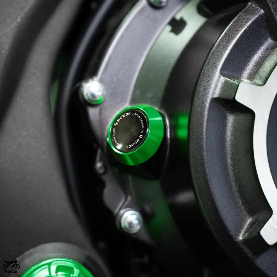 Grüne M8 Schwingen-Stilllegungs-Nippelhalter Für Kawasaki Z900, Z650, Ninja, Versys – CNC-Aluminium, Edelstahlschrauben