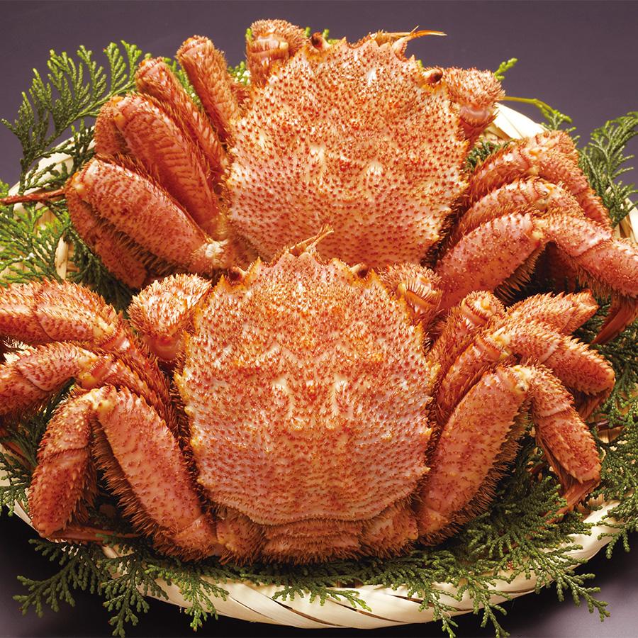 【メーカー直送】北海道産ボイル毛がに2尾【rm26022fcd010】 |  | 02