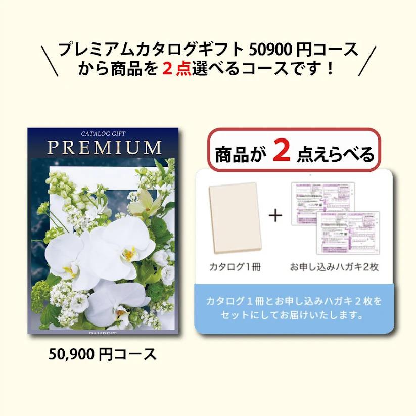 カタログギフト 内祝い 引き出物  出産 結婚 香典返し 法要 お祝い 御礼 御挨拶 記念品 お中元 お歳暮 グルメプレミアムカタログギフト50900円コース |  | 01