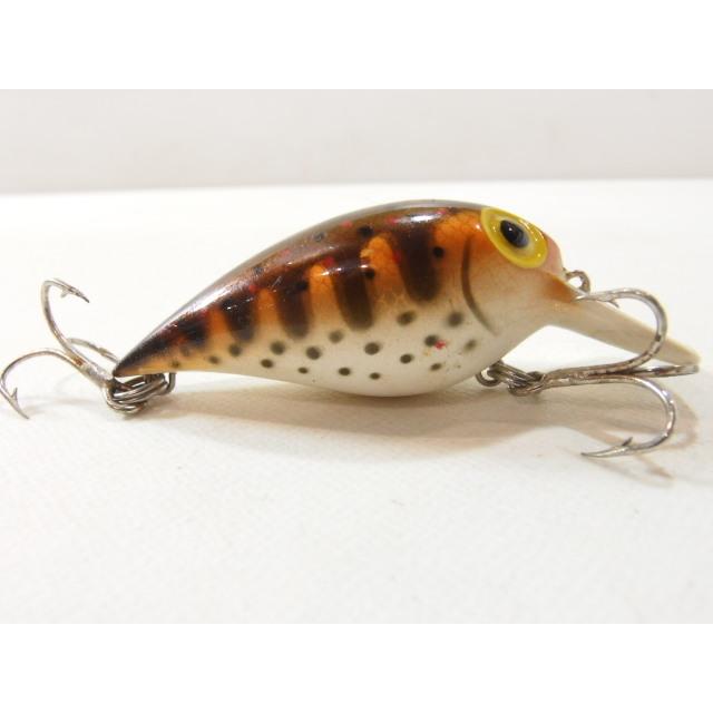 storm-fatso-24906-rf