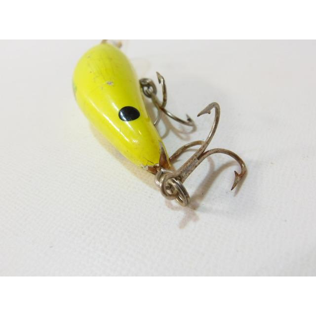 アクアザウルス クランクカウルス クランクベイト スポーツ ザウルス