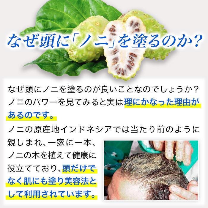 スカルプケア ランブットT ヘアートリートメント-