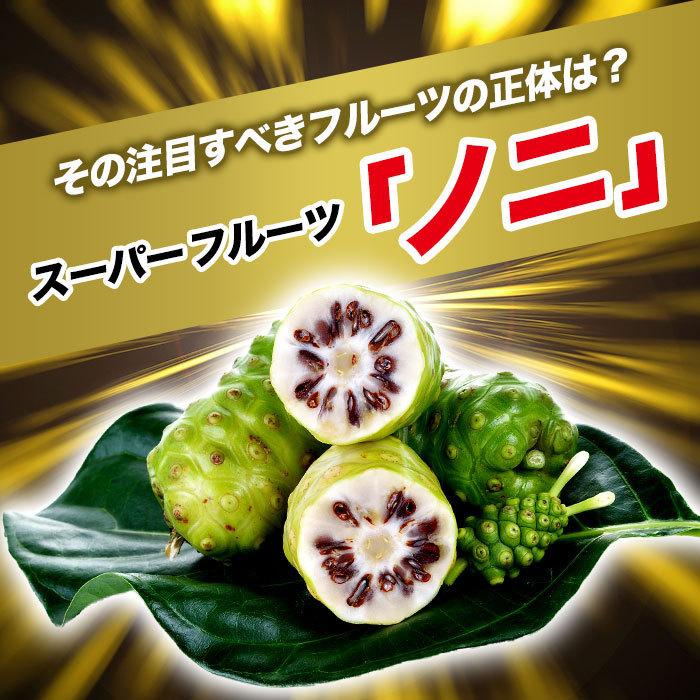 ランブット　薬用育毛剤　120ml×3 公式 インドネシア伝承薬用育毛剤 Rambut Tonic ランブット