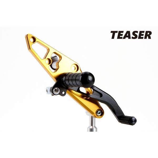 TEASER [A1A3G] ティーザー ステップ GOLD CB1300SF (98-02/SC40)の画像
