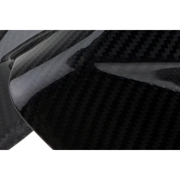 TEASER FFB01G FRONT FENDER [DRY CARBON HG] BMW S1000RR(09-18) R