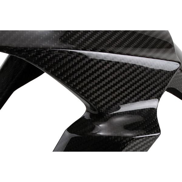 TEASER FFK03G FRONT FENDER [DRY CARBON HG] KAWASAKI Z1000 (14