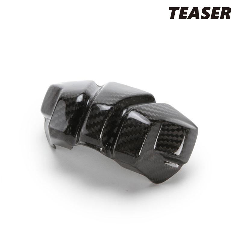 TEASER FMD02G FRONT MASK [DRY CARBON HG] DUCATI STREETFIGHTER V2
