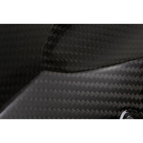 TEASER FMK01G FRONT MASK [DRY CARBON HG] Kawasaki Z1000 (14