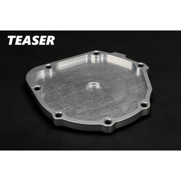 TEASER（ティ―ザ―）[J4B2S]パルサーカバー【SI／T2】ZZR1100