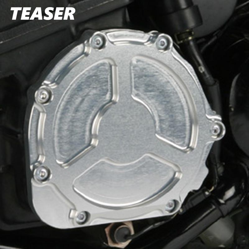 TEASER（ティ―ザ―）[J4B2S]パルサーカバー【SI／T2】ZZR1100 GPZ1100