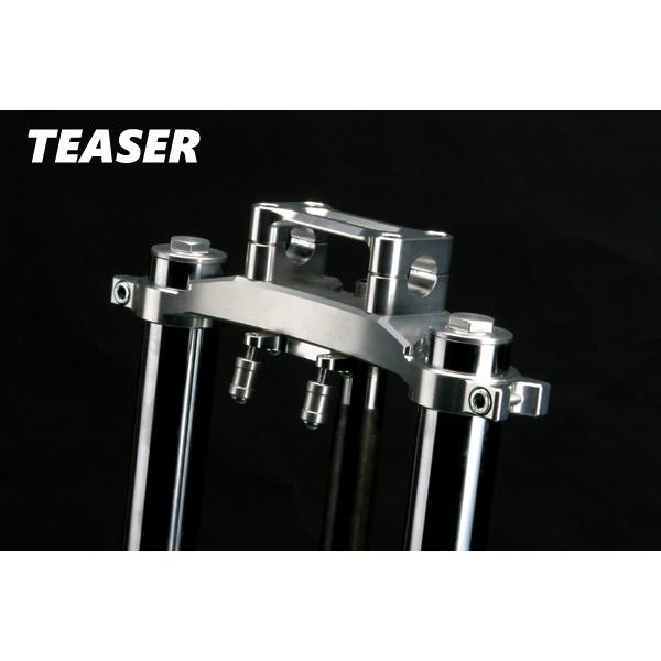 TEASER（ティ―ザ―）[L4C6S]トップブリッジ【SI】ZEPHYR1100