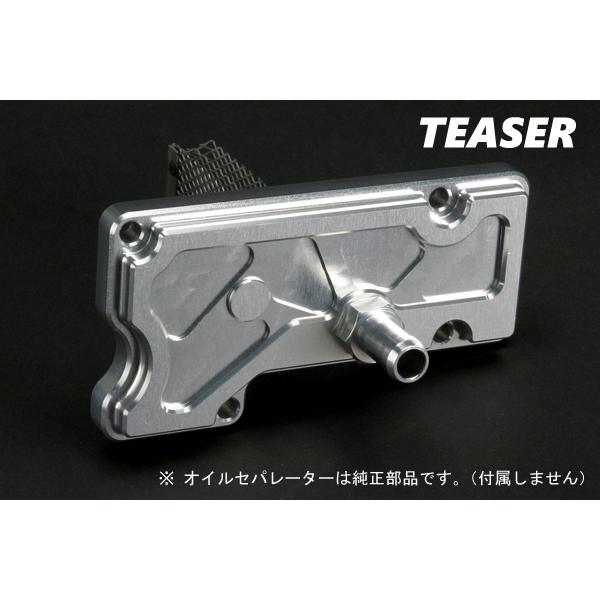 TEASER（ティーザー）[P4C1S]ブリザーカバー【SI/T1】ZEPHYR1100《全年