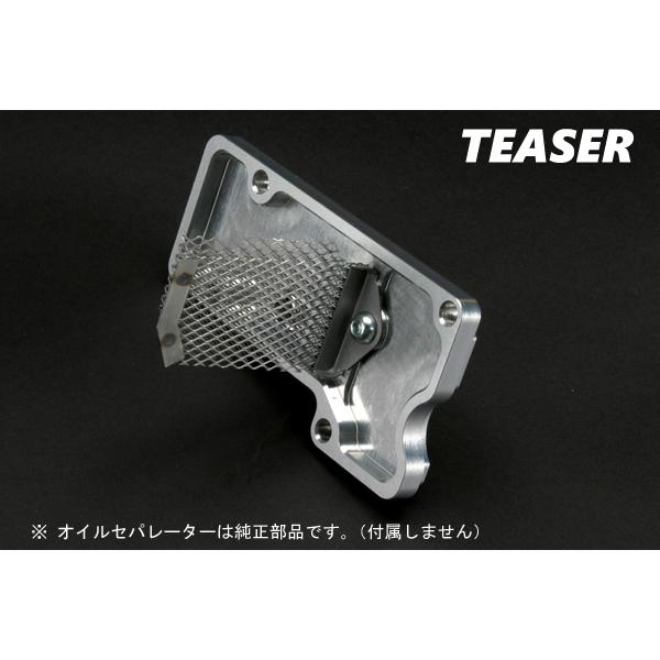 TEASER（ティーザー）[P4C1S]ブリザーカバー【SI/T1】ZEPHYR1100《全年