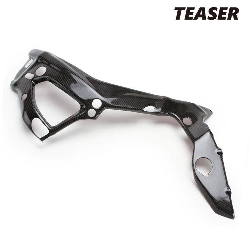 TEASER PTB06G FRAME COVERS [DRY CARBON HG] BMW S1000RR (19-22
