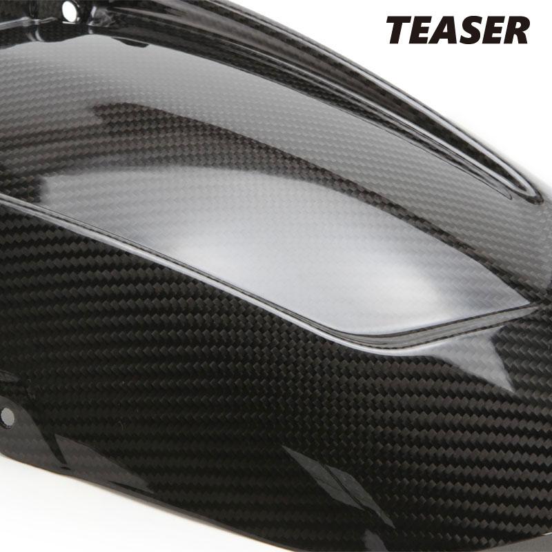 TEASER RFA01G REAR FENDER CHAIN CASE Set[DRY CARBON HG] aprilia