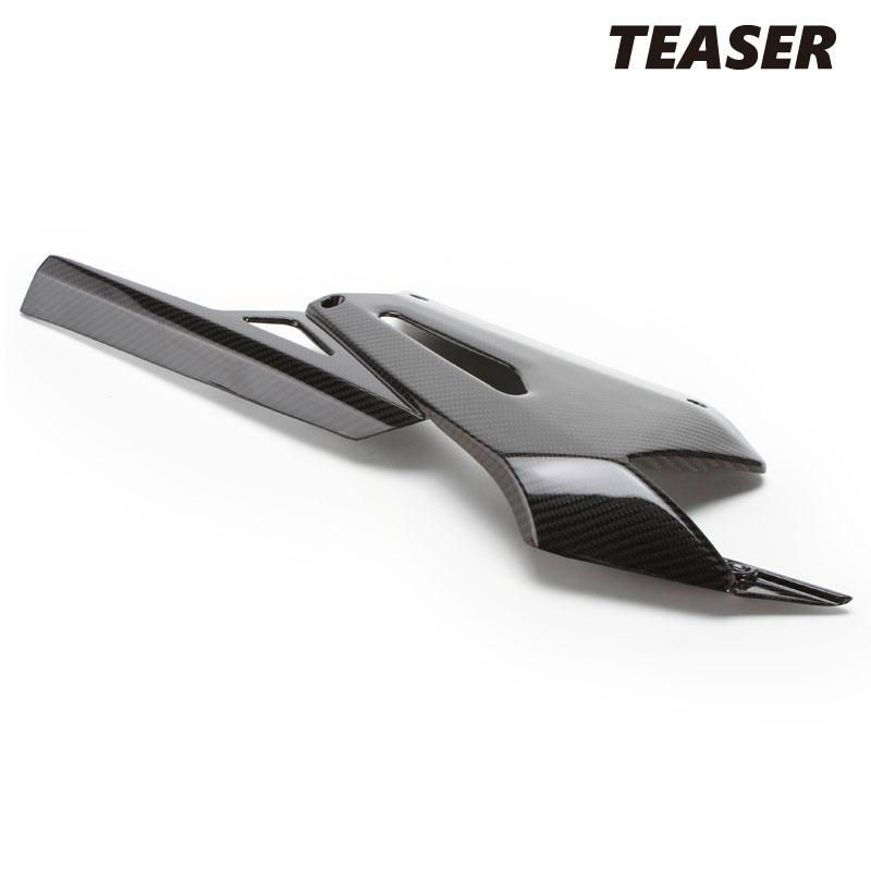 TEASER RFA02G REAR FENDER CHAIN CASE Set [DRY CARBON HG] aprilia