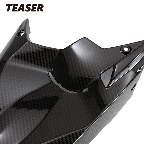 TEASER RFD04G REAR FENDER [DRY CARBON HG] DUCATI MONSTER1200S (16