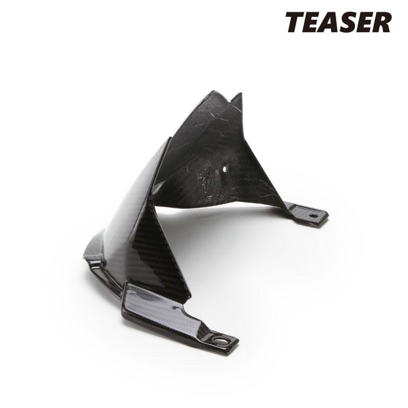 TEASER RFK07G REAR FENDER [DRY CARBON HG] Kawasaki Z-H2 (21