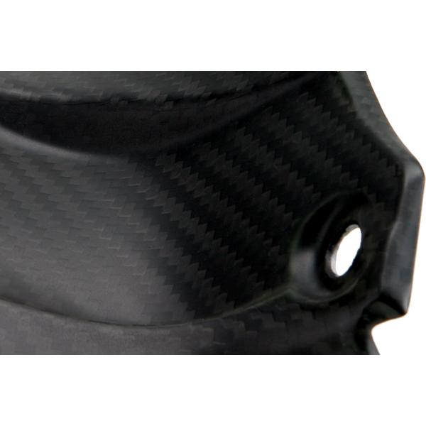 TEASER RFT01 REAR FENDER [DRY CARBON] TRIUMPH SPEED TRIPLE (11-20) ティーザ ...