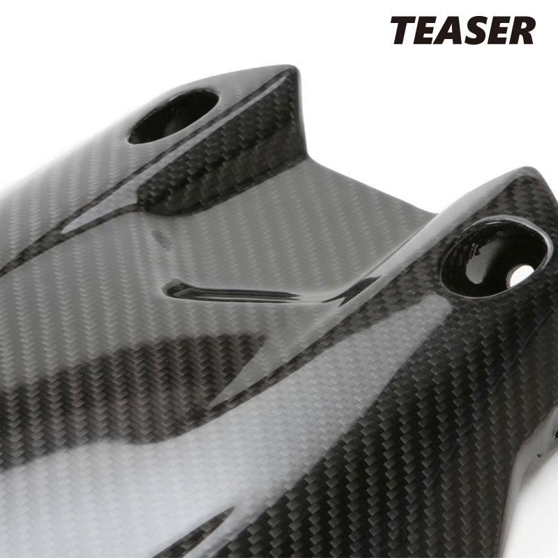 TEASER RFY06G REAR FENDER CHAIN CASE Set [DRY CARBON HG] YAMAHA